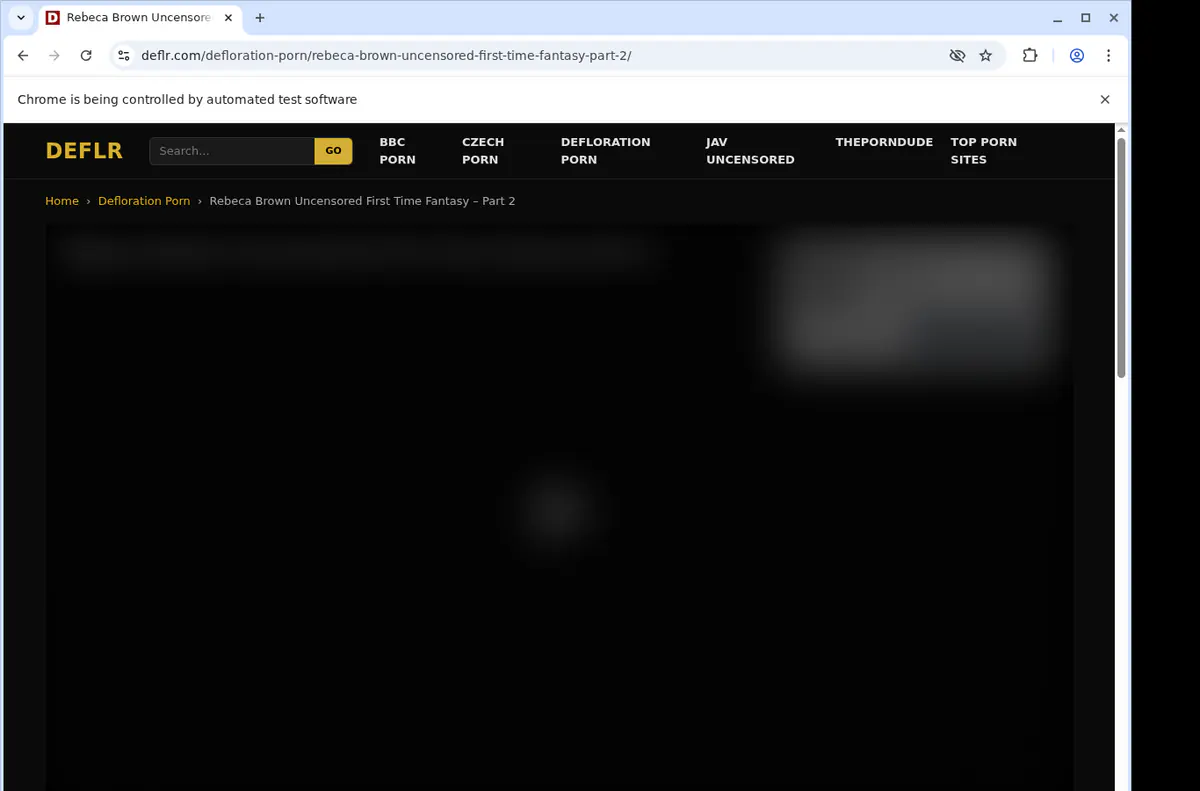 Deflr Video Downloader screenshot 2
