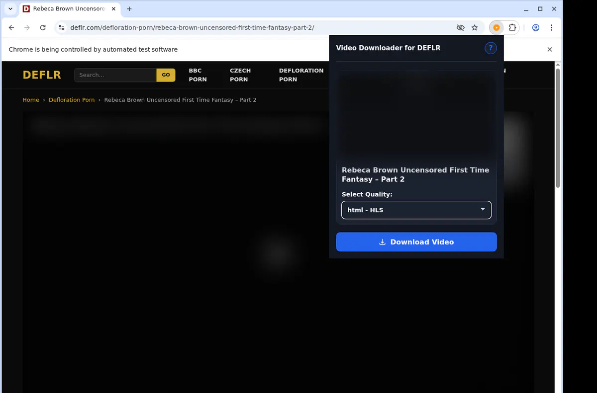 Deflr Video Downloader screenshot 3